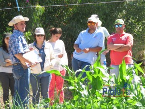 Estudiantes destacados visitan instalaciones de INIA en Vallenar para interiorizarse en desarrollo de cultivos bajo stress hídrico