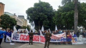 Trabajadores de ANEF Atacama realizan manifestación afuera de Congreso Nacional