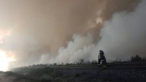 bomberos-trabajo-duro-en-incendio-ocurrido-a-un-costado-de-la-ruta-c-46-linea-rojas-emergencias