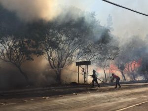 foto-victor-caballero-un-nuevo-incendio-en-vallenar-movilizo-a-bomberos