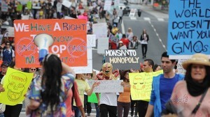 Marcha Monsanto transgenicos