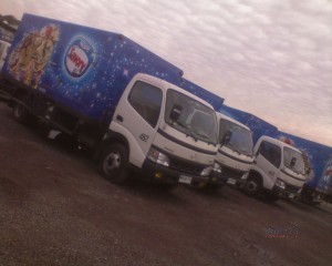 Camion Savory