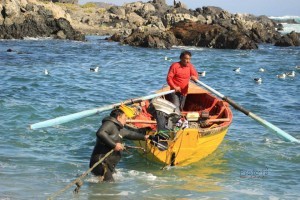 Los Bronces Zona de PEscadores