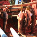 La Dernière Frontière Bronces Pescado