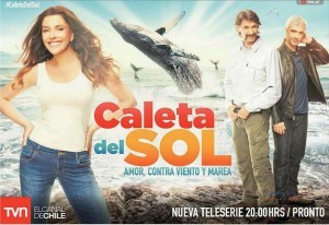 Afiche Caleta del Sol