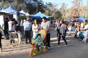 Más de 20 mil habitantes visitaron la XIII Expo Huasco 2014 en Vallenar