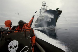 APTOPIX Antarctica Whaling