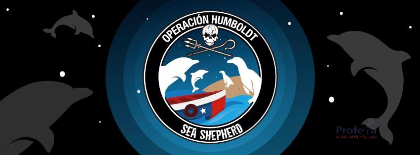 Operation Humboldt, La defensa del ecosistema llega Punta de Choros y apunta a Caleta Chañaral2