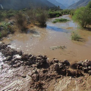Vecinos del Valle del Huasco Alto denuncian nuevos temores por contaminación de Río El Carmen por Pascua Lama