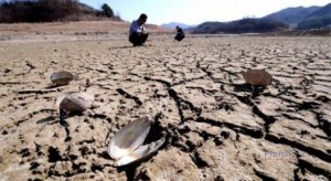 ¡Atención Agricultores! INDAP abrió primer concurso para recuperar suelos en 2015.