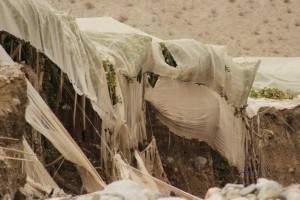 Foto La ultima Frontera Facebook Compleja situación viven pequeños agricultores en Alto del Carmen