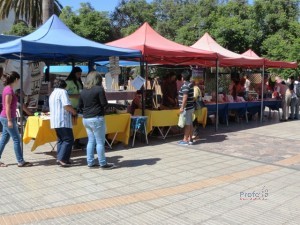 Este sábado 20 se realizará el tradicional Paseo de la Cultura en Vallenar