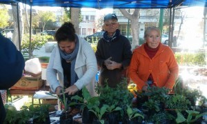 Pequeños agricultores del Huasco vuelven a cautivar con productos campesinos