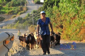 BUSCAN APOYAR A MUJERES CRIANCERAS DE VALLENAR Y FREIRINA