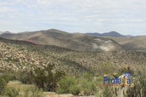 ACUERDAN DESARROLLAR PLANTA DESALINIZADORA PARA CERRO BLANCO EN FREIRINA