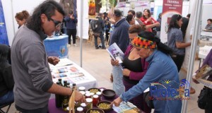 Expo Turismo Atacama reunió la oferta regional en el centro de Copiapó