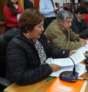 CONSEJERA REGIONAL PREOCUPADA POR FALTA DE CARABINEROS EN FREIRINA