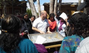 Totoral y Alto del Carmen buscan liderar elaboración de hortalizas deshidratadas