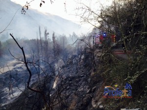 Incendio consume gran extensión de terreno en la comuna de alto del Carmen