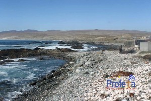 Caleta Los Bronces se proyecta como destino turístico