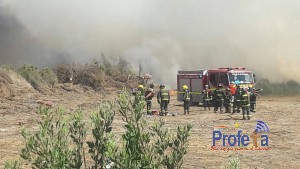Incendio de proporciones alertó a la población de Vallenar