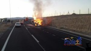 Caballos resultaron heridos tras incendio en el camión que los transportaba