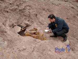 HALLAZGO ARQUEOLÓGICO ENCUENTRAN MOMIAS DE TRES NIÑOS Y UNA MUJER EN TIERRA AMARILLA