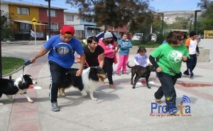 Este viernes 15 se realizará Corrida familiar “Yo Corro con mi Mascota” en Vallenar