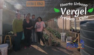 Vivero local El Vergel florece en población de Freirina