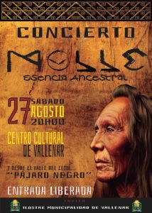 Municipio de Vallenar invita a Noches de Conciertos en el Cultural