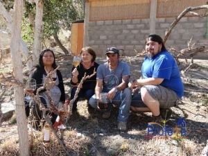 Pequeños productores del Valle del Huasco se unen para potenciar el vino pajarete