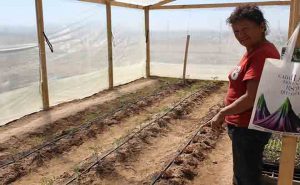 Vecinos de Llanos de Lagarto de Huasco se certificaron en Manejo y Cultivo de Hortalizas