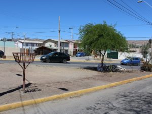 realizan-arreglos-en-areas-verdes-en-un-sector-de-vallenar