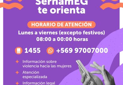SernamEG Atacama refuerza información sobre los canales de orientación y denuncia en casos de violencia de género