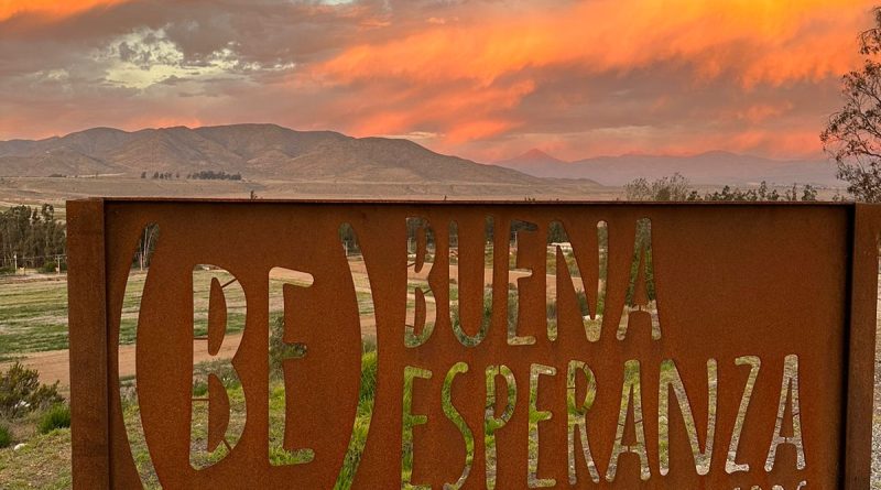 Viña Buena Esperanza de Vallenar concreta la primera exportación de vinos tintos y blancos desde Atacama