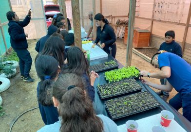 Alumnos de la Escuela Fortunato Soza de Carrizalillo aprenden técnicas de cultivo y cuidado de plantas
