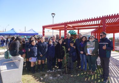 En Maitencillo, vecinos, Conaf y Municipio se la juegan por la reforestación