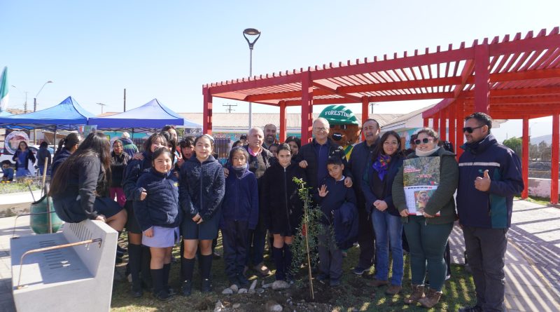 En Maitencillo, vecinos, Conaf y Municipio se la juegan por la reforestación