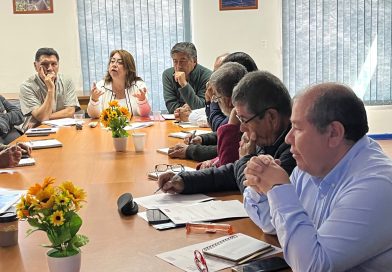 La Comisión Provincial Huasco, del CORE Atacama, analizó el nuevo programa de fomento integral para la pequeña minería de la región
