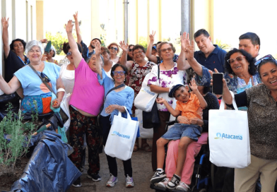 Desarrollan huerto medicinal en Freirina con apoyo de Nueva Atacama