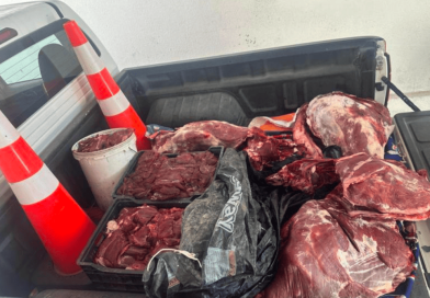Operativo conjunto entre Seremi de Salud y Carabineros permite decomiso de 180 kilos de carne en Freirina
